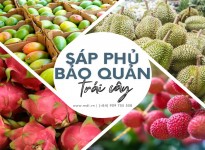 Xuất Khẩu Rau Quả Tăng Trưởng Mạnh Ở Nhiều Thị Trường