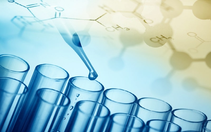 Enzyme Là Gì Và Có Tầm Quan Trọng Như Thế Nào  Nhà Thuốc Vivita